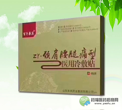 百年華漢醫(yī)用冷敷貼zr-頸肩腰腿痛